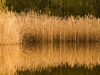 2013_04_25_6946
