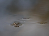 2013_04_25_6978